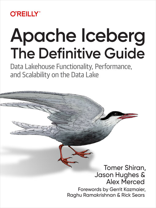 Title details for Apache Iceberg by Tomer Shiran - Wait list